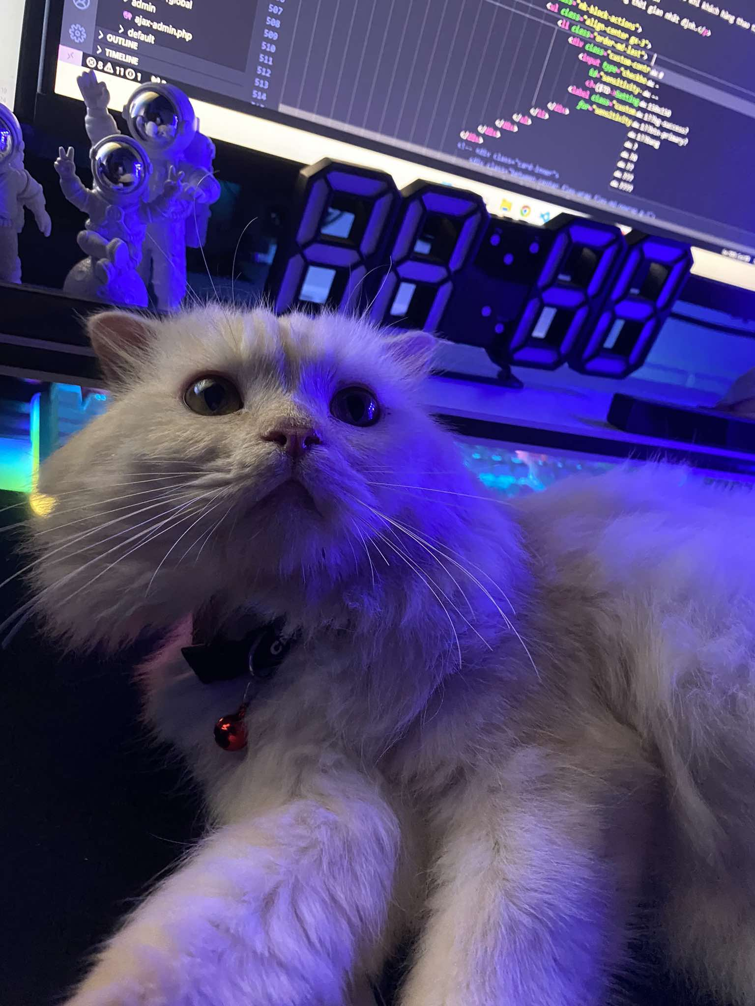 Img